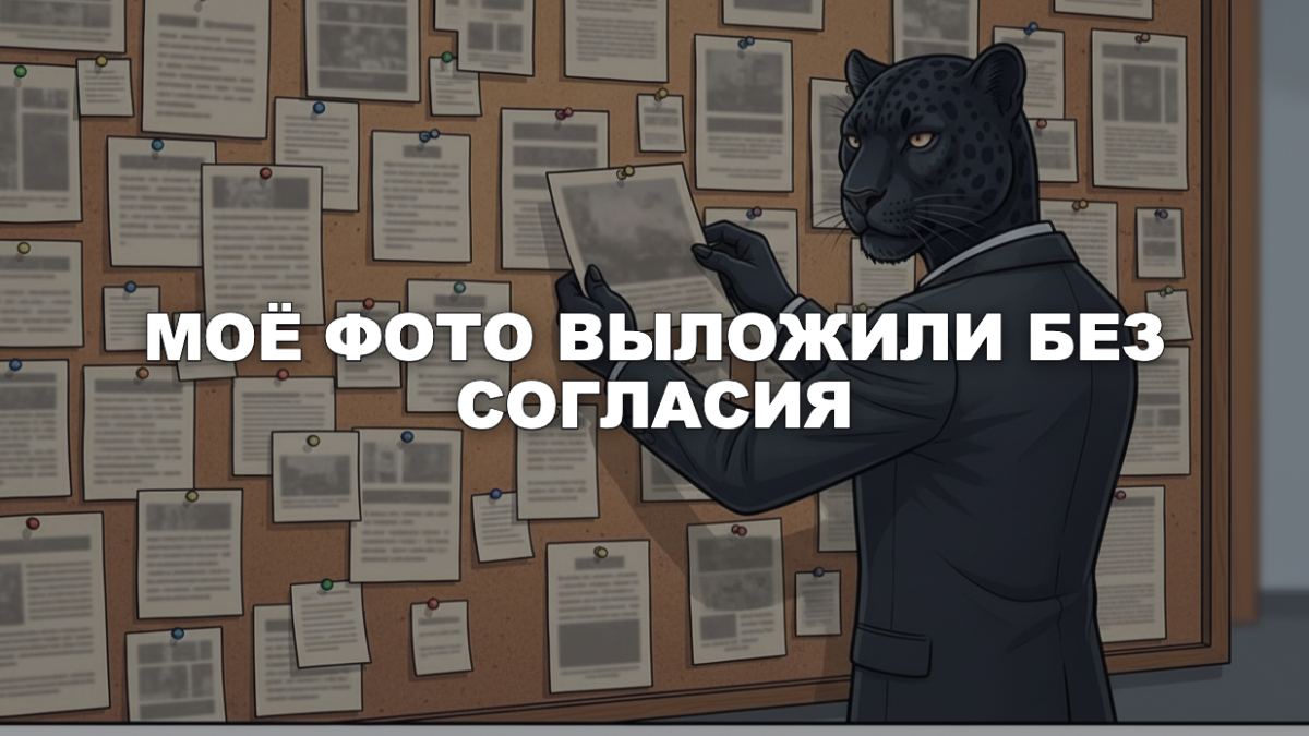 Пантера снимает фотографию с доски объявлений среди чужих записок — фото выложили в паблике ВК без согласия